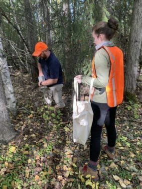 Two people collecting samples in a boreal forest