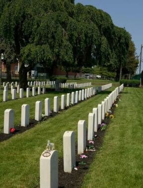 Rows of identical graves in graveyard