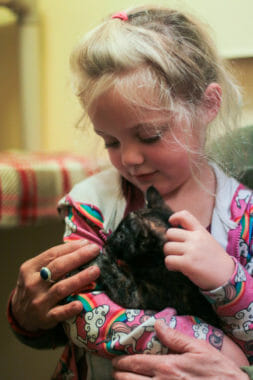 A little girl holds a kitten and looks at it adoringly