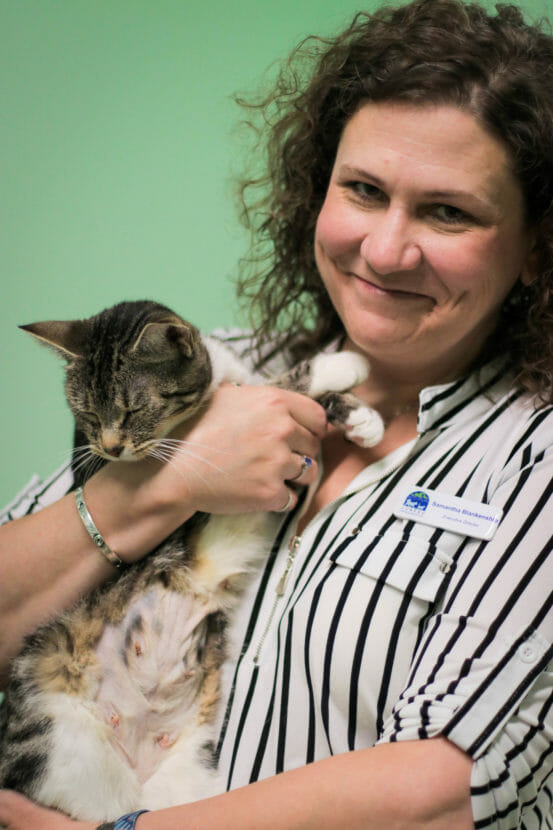 Spay and neuter services available inhouse at Juneau Animal Rescue