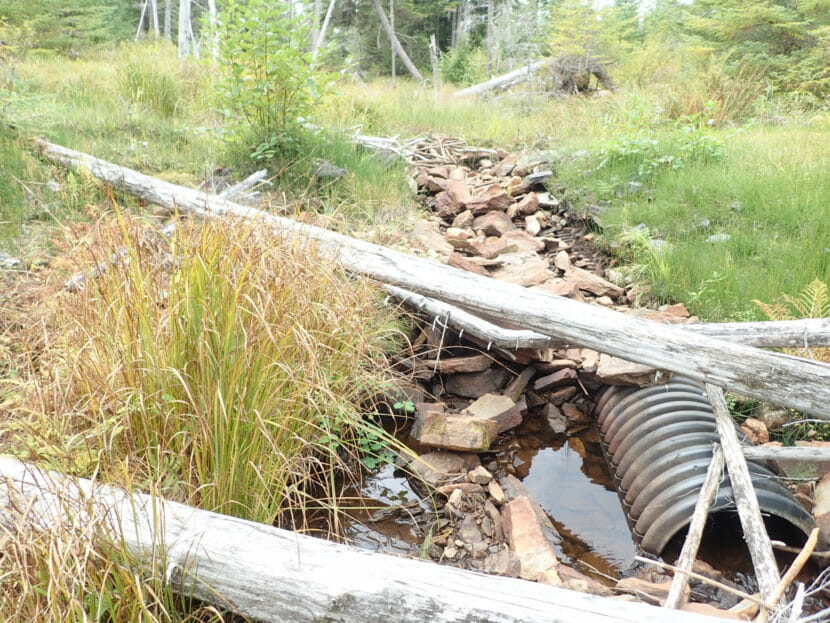 An exposed culvert with logs lying across it