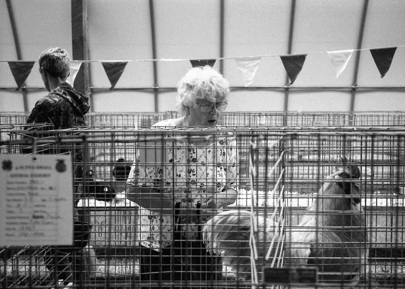 A black-and-white photo of an older woman looking at a large, white rooster in a cage