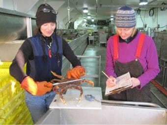 One woman measuring a crab while another takes notes