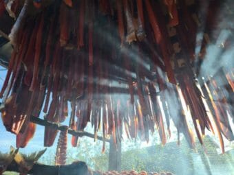 strips of salmon drying on a drying rak