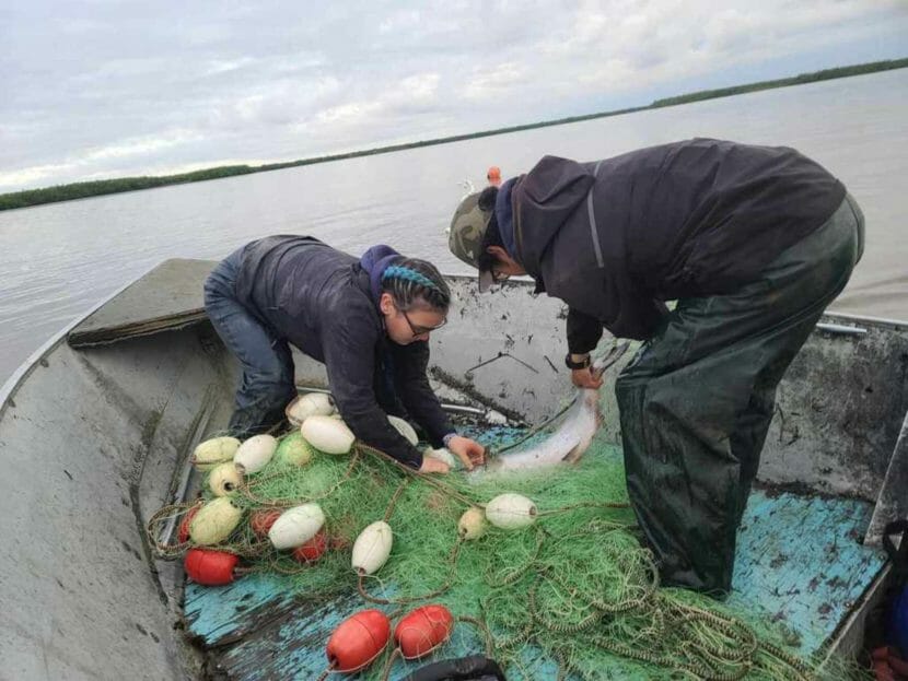 Two people in a skiff picking salmon out of a net