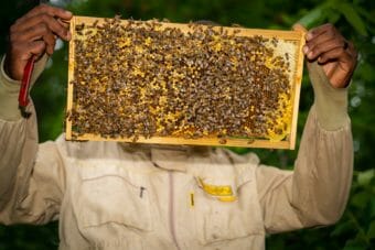 A man holds a honeycomb full of bees in front of his head