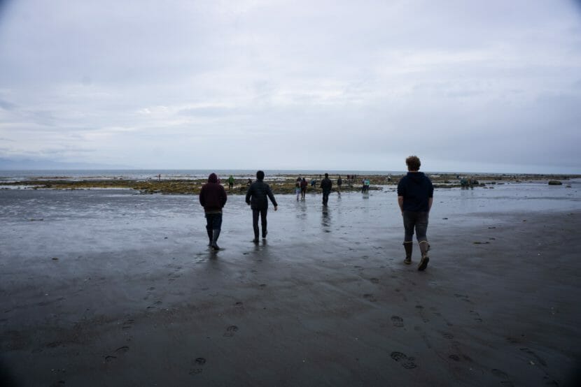 People walking towards the water at a very low tide