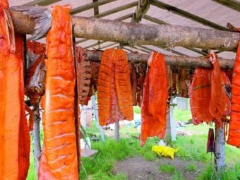 Salmon filets hanging from a drying rack