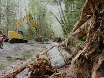 An excavator working in a forest