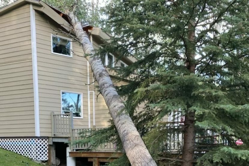 A tree rests against the roof of a two-story house, crushing part of it