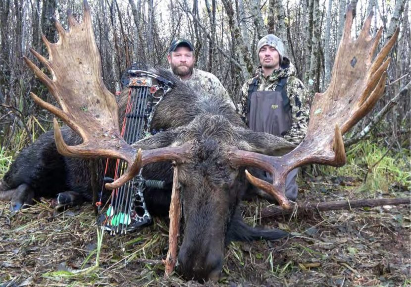 Two men pose behind the carcass of a large bull moose