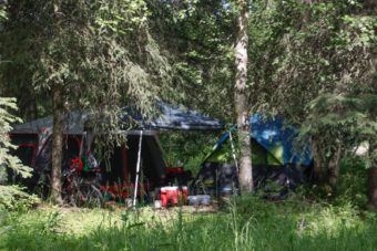 A tent half-hidden in woods