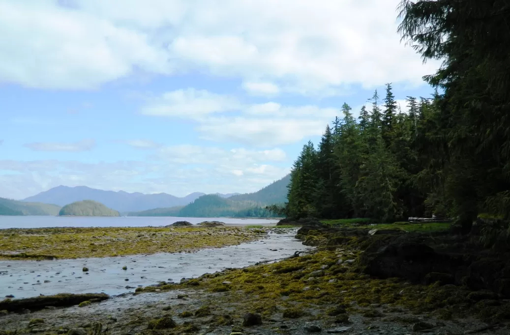 Settlers Cove State Recreation Site Archives KTOO