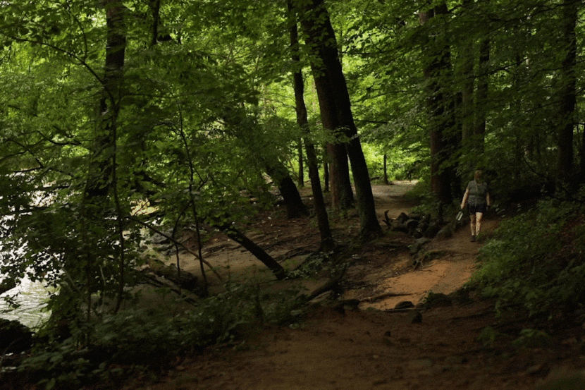 A GIF of a woman walking down a wooded path