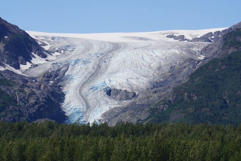 A glacier seen from a distance, across forest.
