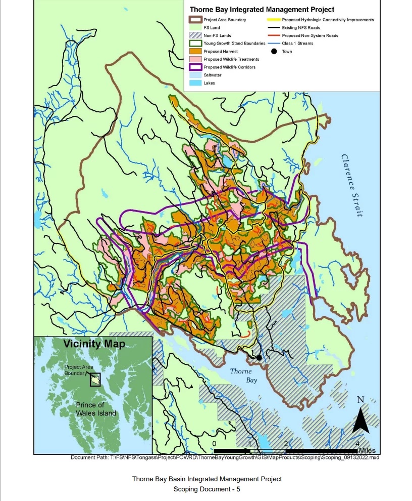 Forest Service proposes young growth timber sale near Thorne Bay