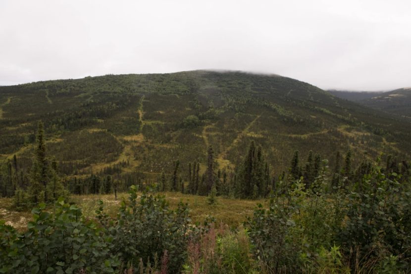 A foggy treeless hill