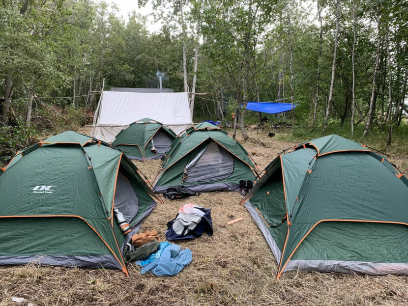 Tents set up in a clearing