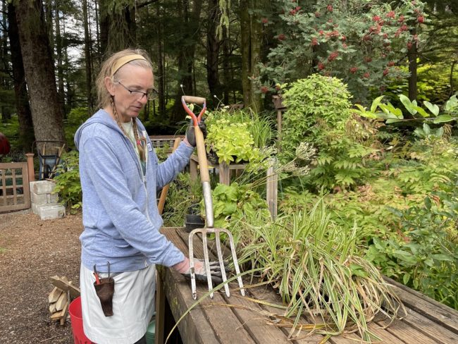 Garden Talk: Dividing perennials at Jensen-Olson Arboretum