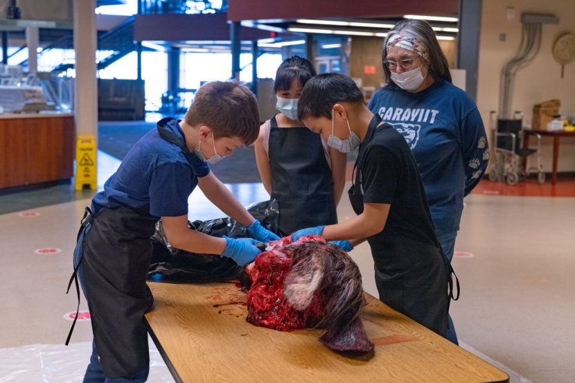 A woman watches as children butcher a moose on a wooden table
