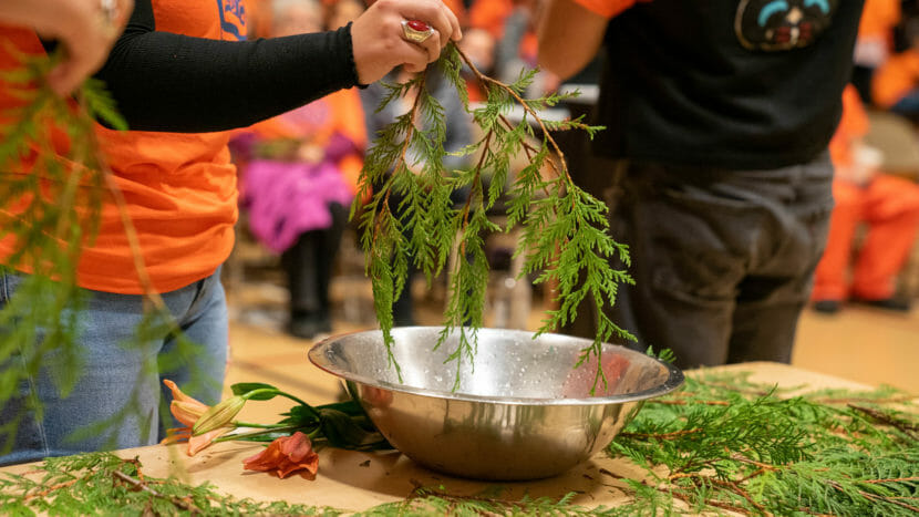 A branch from an evergreen held above a metal bowl