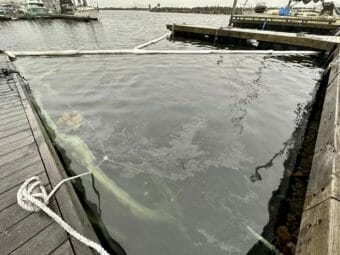 A skiff lies submerged next to a dock. There's a chemical slick on the water and a boom to keep it from spreading.