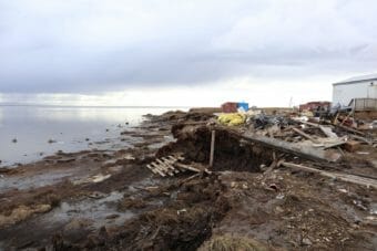 calm seas along a muddy coastline strewn with debris