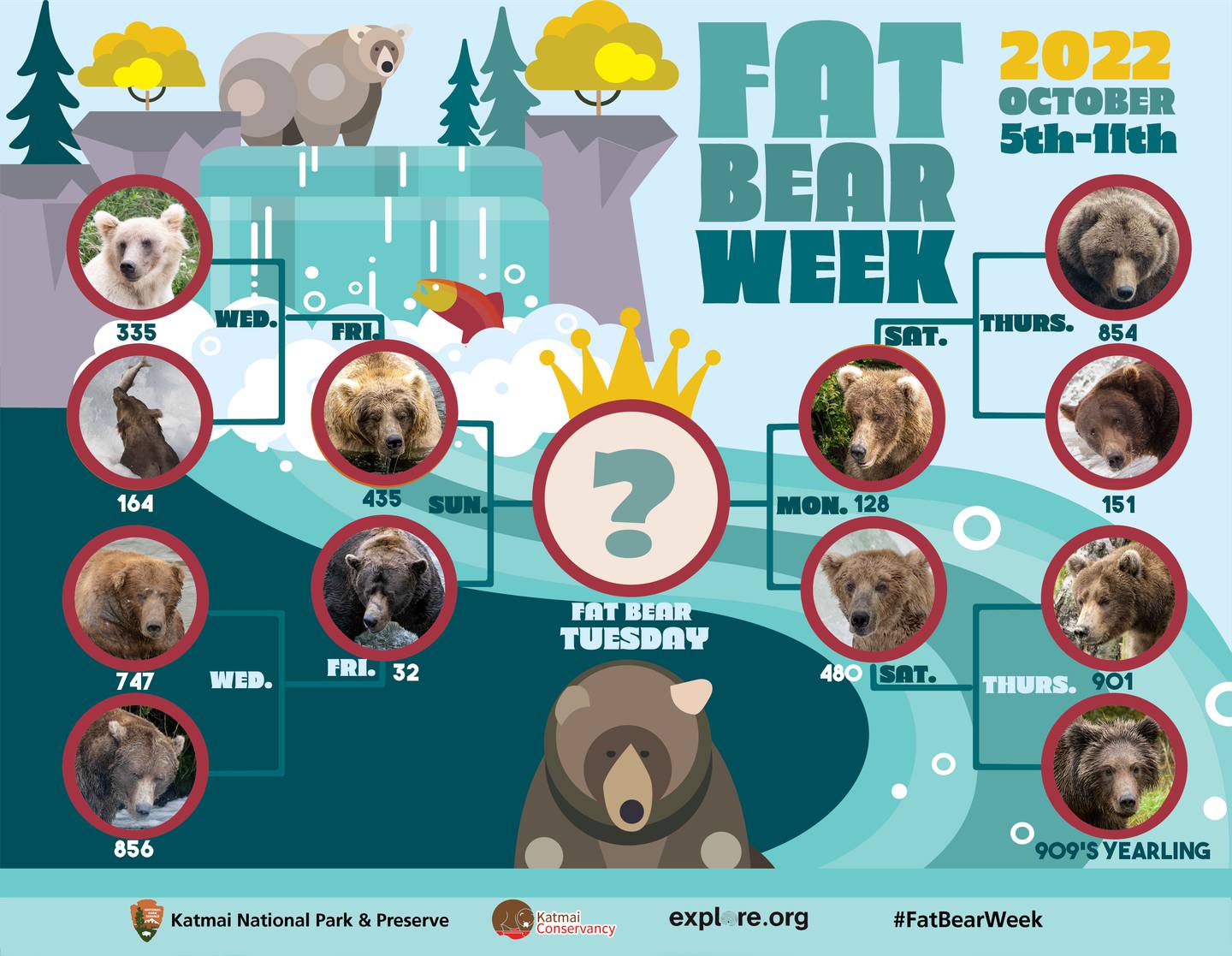 Fat Bear Week is on Here’s a guide to Katmai’s bulky bruins and how to