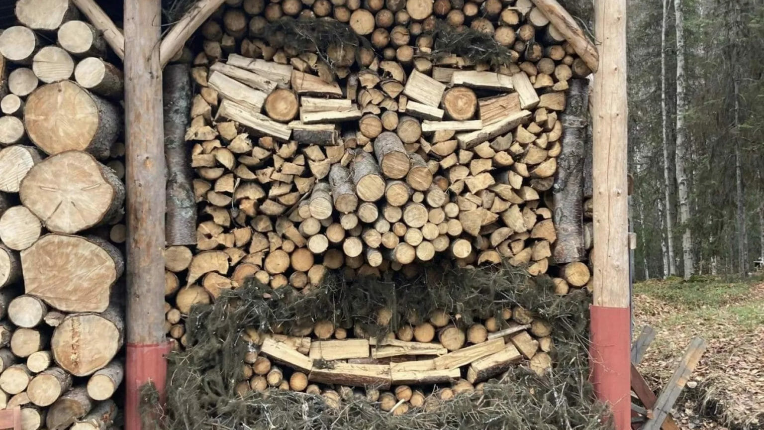 En la competencia de apilamiento de madera en la península de Kenai, debes sobornar al juez