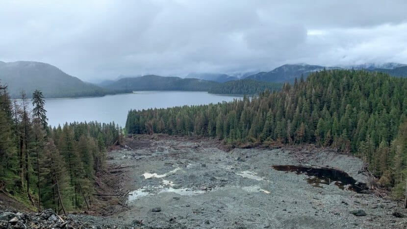 Looking downslope along the path of a landslide that plowed through conifer forest. The sea is in the background.