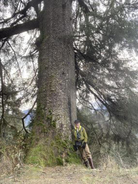 A man leans against a large spruce tree