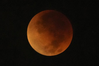 An orange and black moon