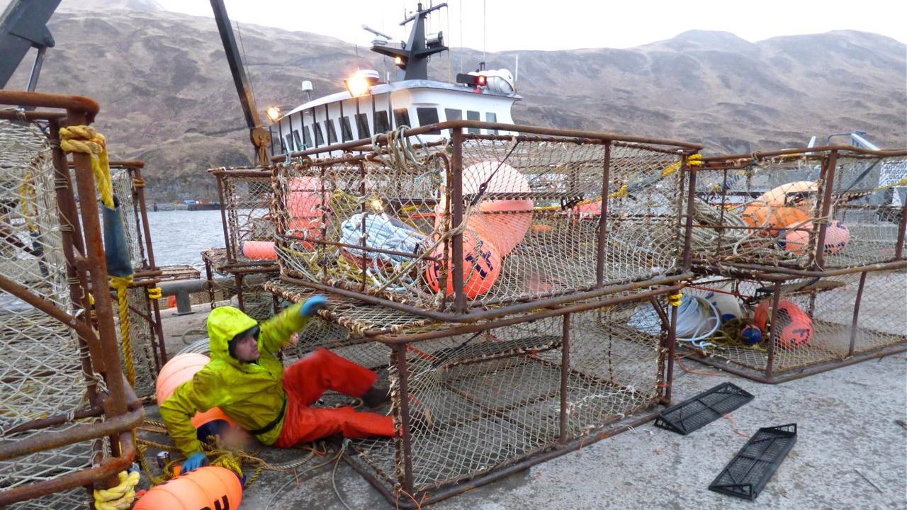 Commercial Tanner crab fishery opens in Eastern Aleutians for the first ...