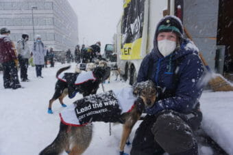A masked musher on a snowy Anchorage street holding a dog that's wearing a sweater that says "lead the way, get vaccinated" on it