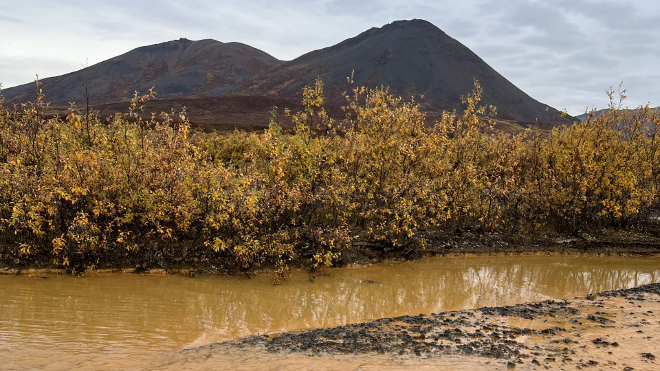 Alaska's Arctic waterways are turning orange, threatening drinking ... - KTOO