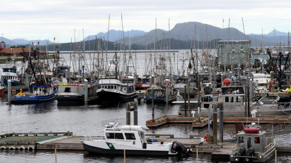 Sitka Assembly approves K to fight suit that shuts down king salmon fishery