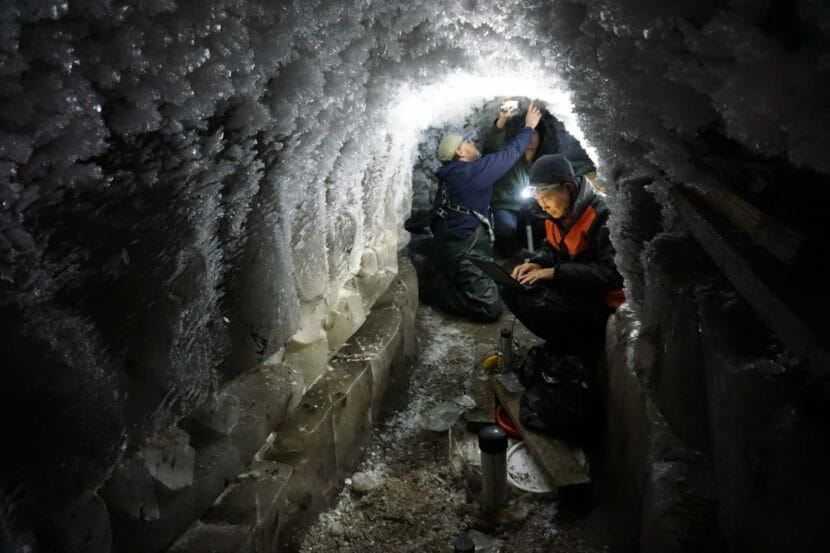 People wearing headlamps study the frosty, dirt walls of a narrow tunnel.