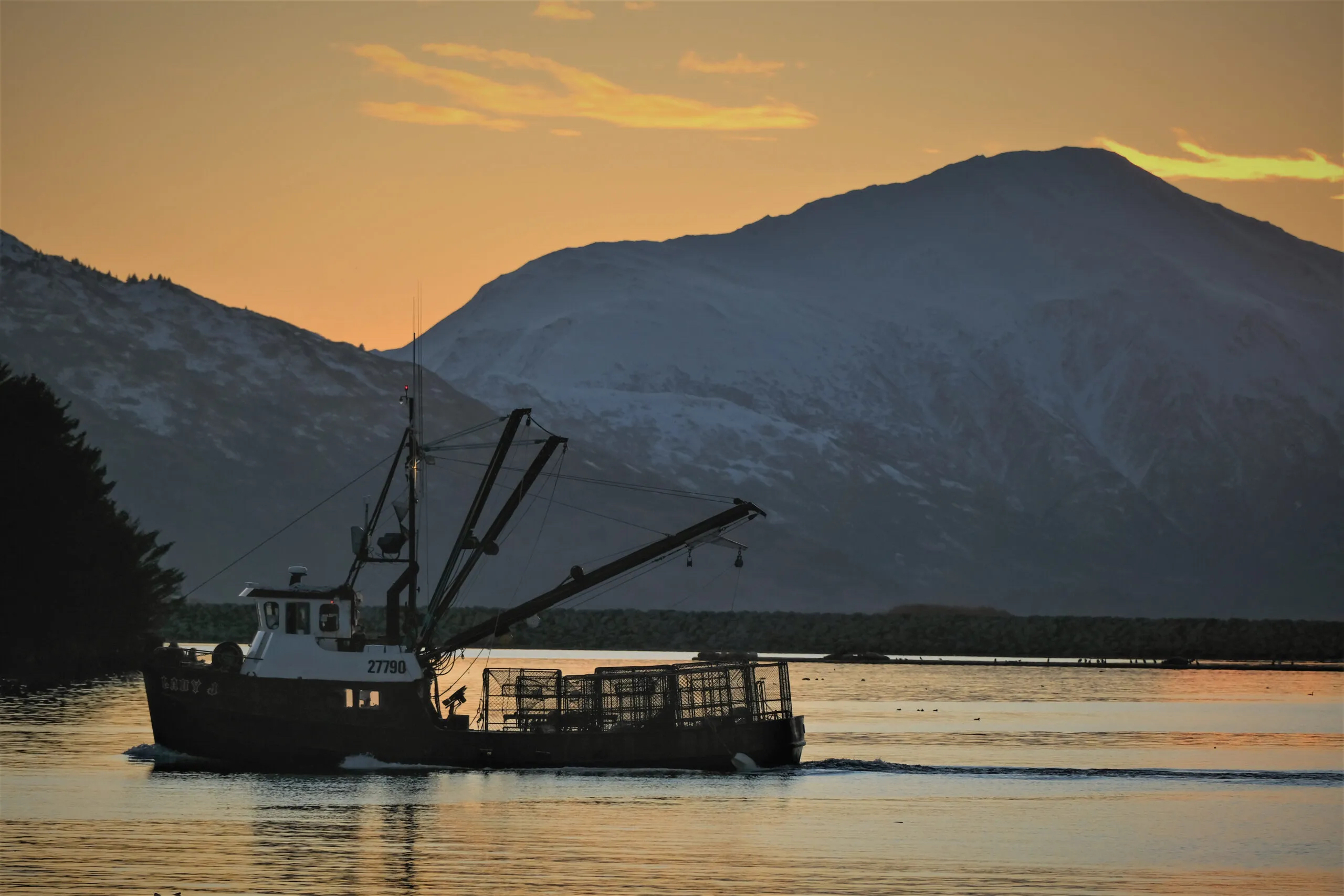 Kodiak fishermen stand down to protest low tanner crab prices