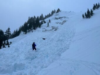 Eaglecrest ski patrol surveyed the East Bowl Chutes following a large avalanche on Jan. 26th, 2023. (Photo courtesy Dave Scanlan)