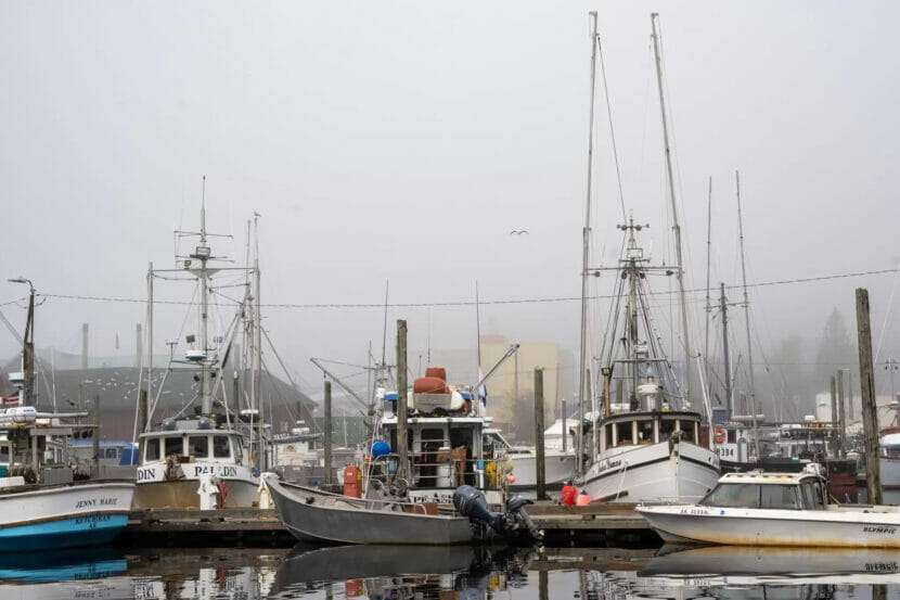 Ruling might cancel Alaska commercial king salmon season