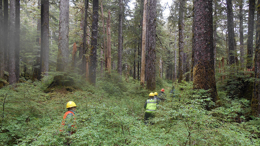 Forest Service seeks Alaska workers amid national labor shortage
