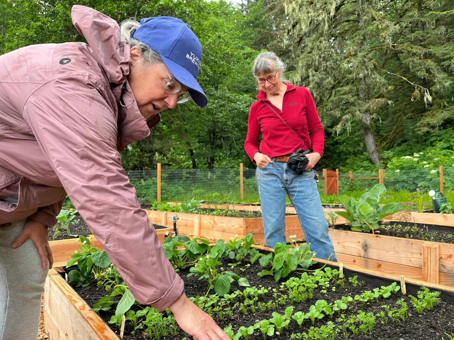 First time Growers Flock To Thane s New Community Garden