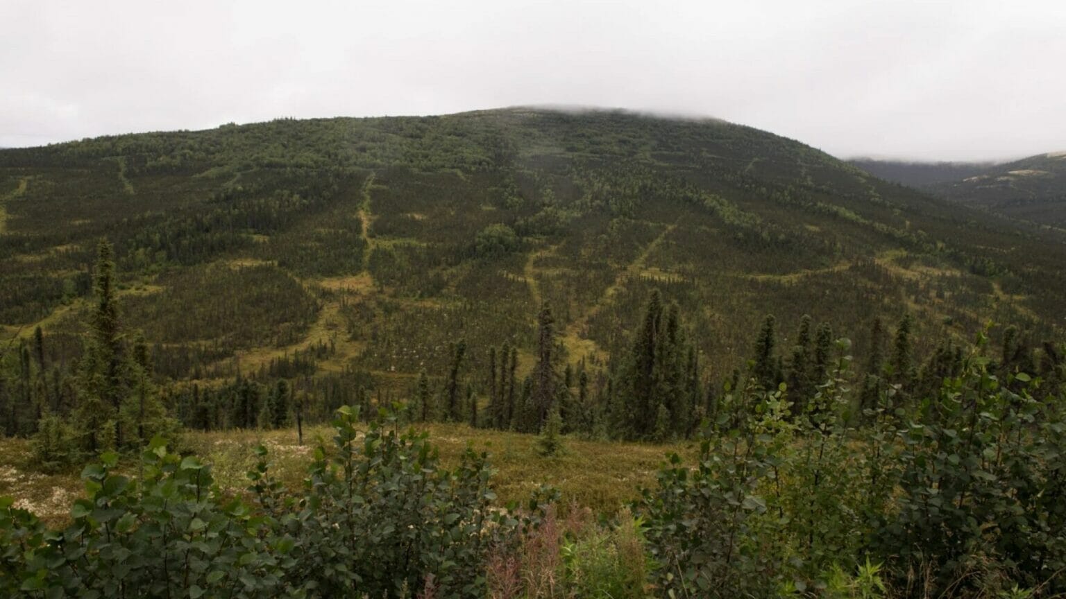 Chevak Native Village joins others in federal lawsuit over Donlin Gold