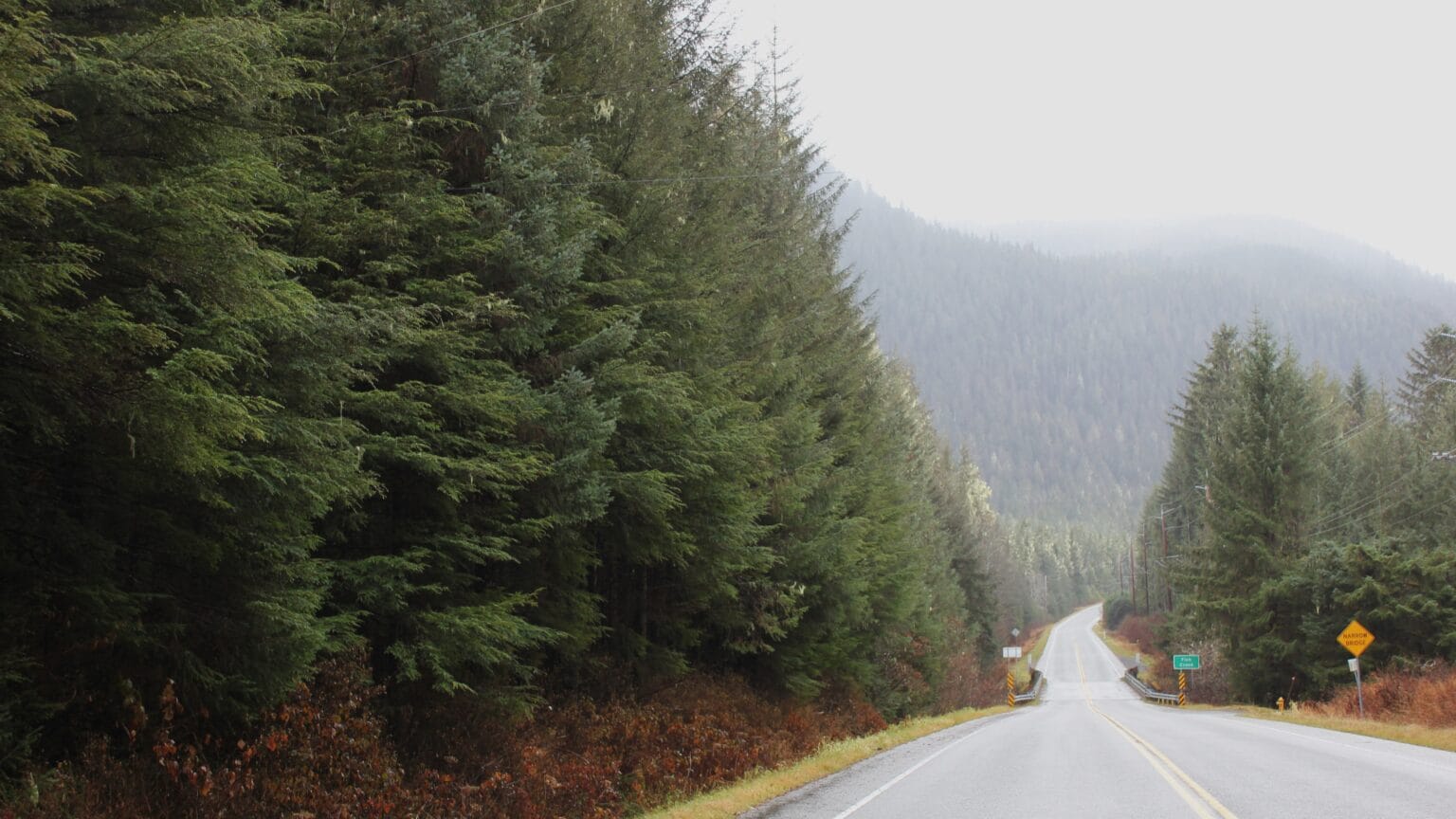 Juneau residents can start harvesting Christmas trees on Thanksgiving