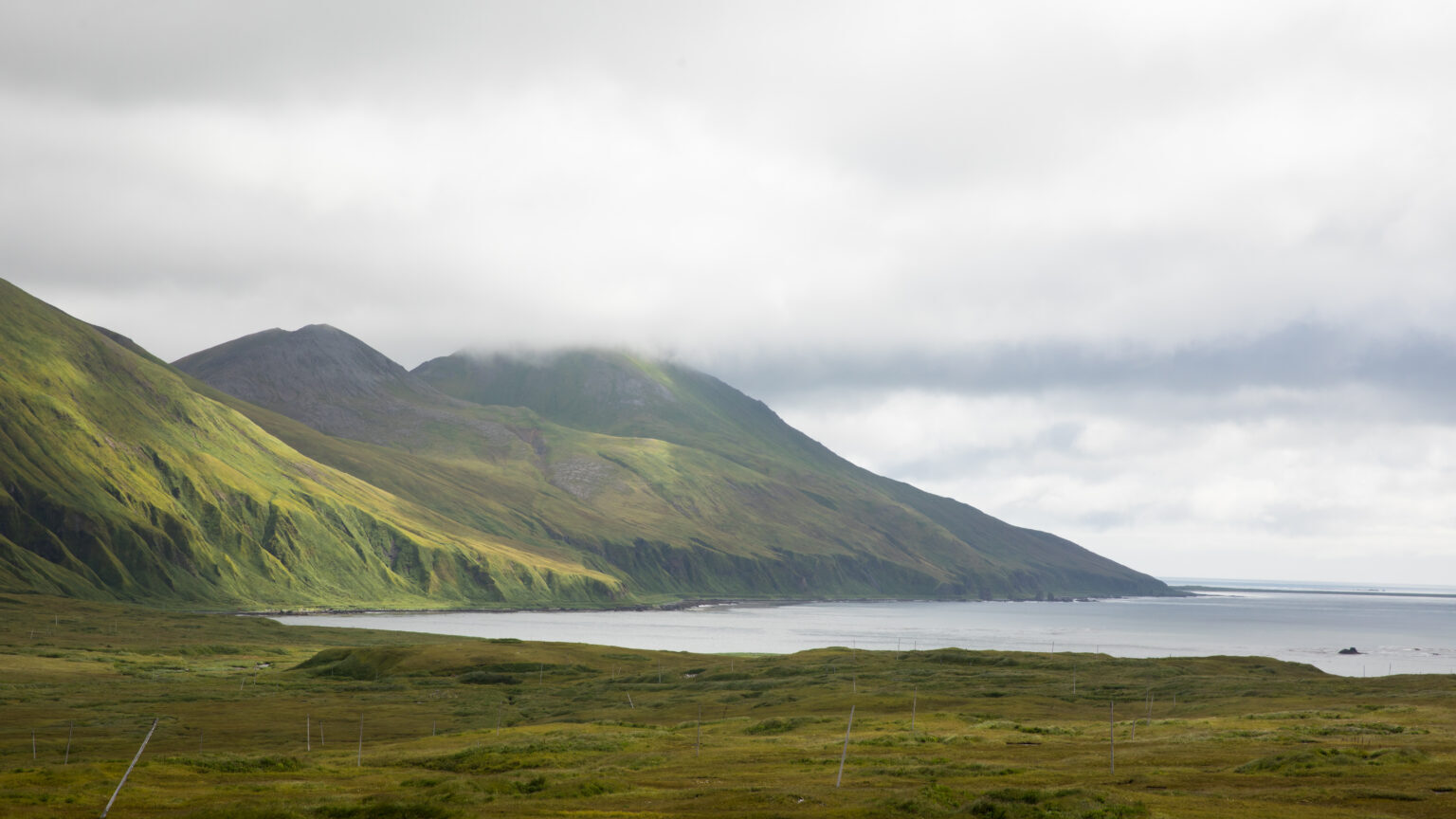 Ecosystem reports show continuing effects of warming in Alaska's marine waters - Vimarsana News