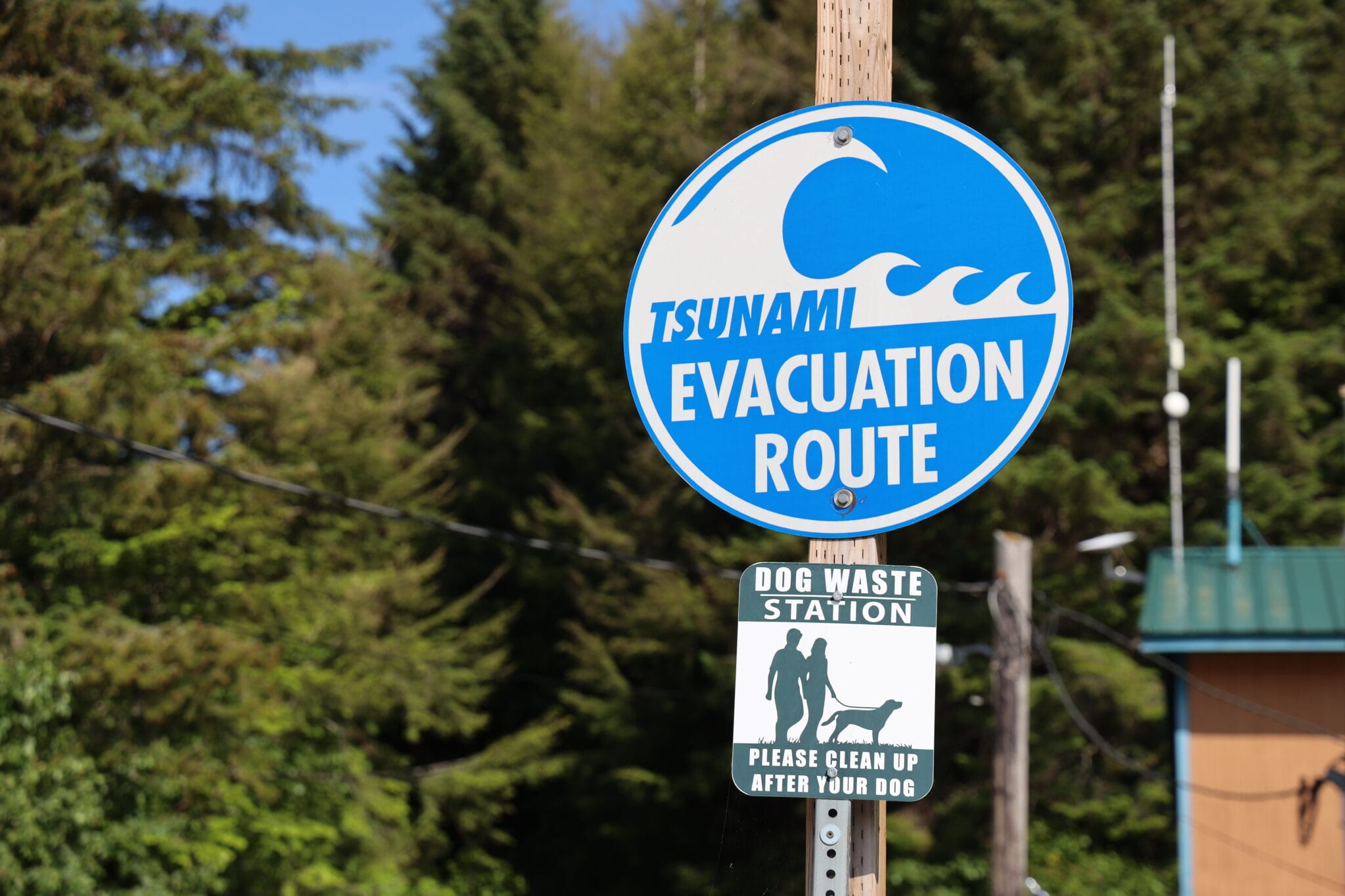 Tsunami video alaska