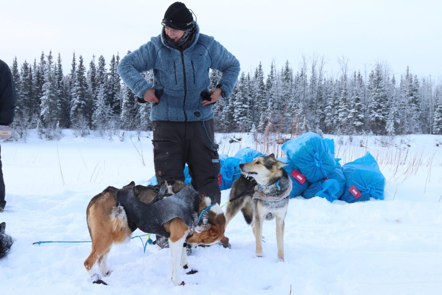 For the first time, 4 women mushers have finished in the Iditarod’s top 10