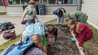 Students gardening in as part of the Auke Bay Ocean Guardian Club