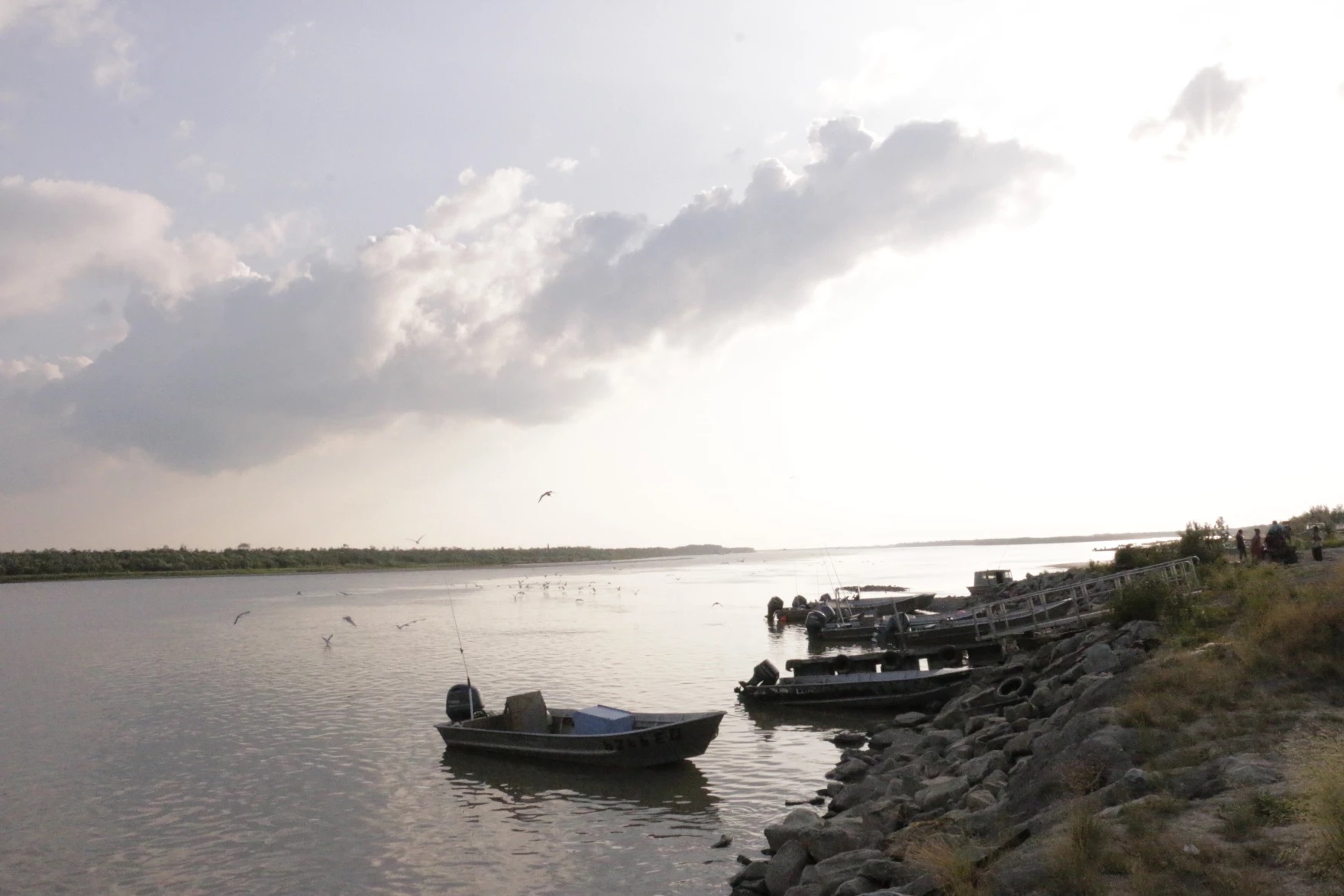 Yukon River communities balance conservation, survival amid near-total ...