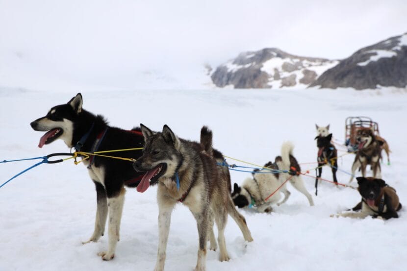 juneau city and glacier tour